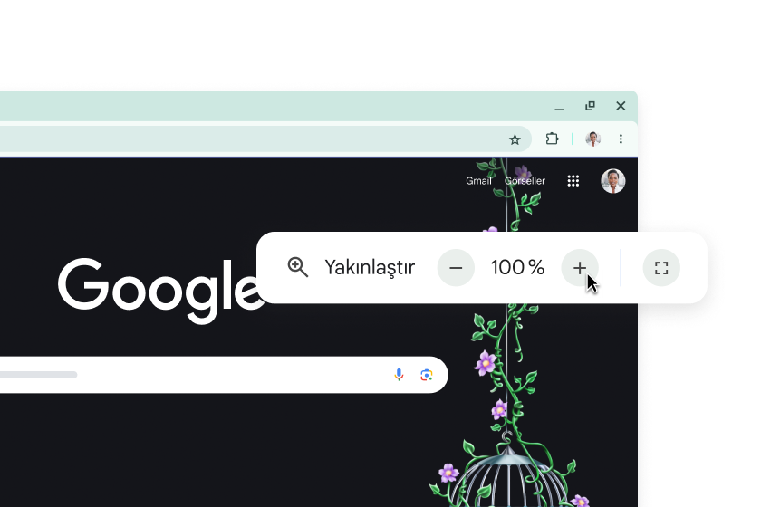 Google ana sayfası ve yakınlaştırmanın %100'e ayarlandığı bir pop-up gösteriliyor.